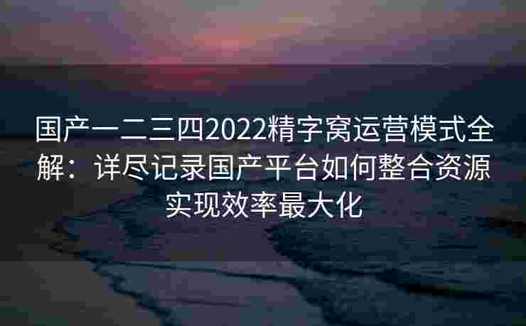 国产一二三四2022精字窝运营模式全解：详尽记录国产平台如何整合资源实现效率最大化